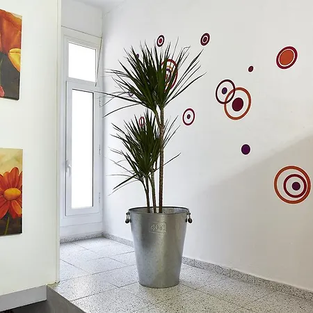 瑞文旅馆 - 仅限成人 巴塞罗那